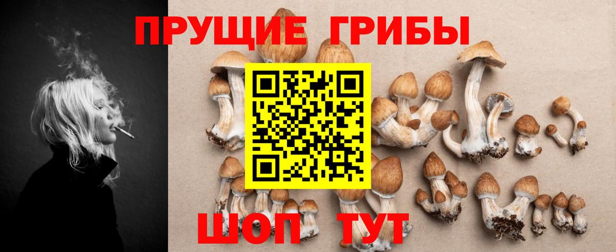 Галлюциногенные грибы прущие грибы  Вход с VPN  Альметьевск 